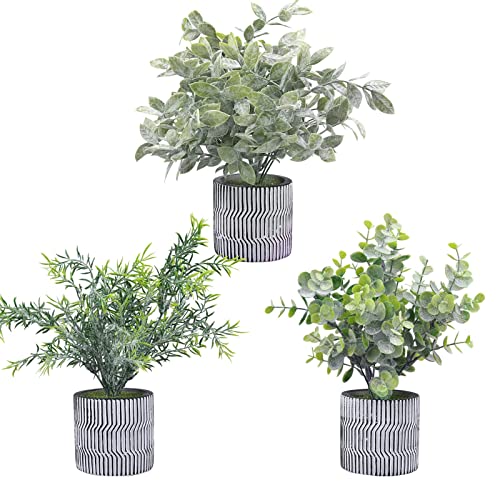 3 Stück künstliche Pflanzen in gestreiftem Muster, Keramiktopf für Heimdekoration, Mini-Topf, künstlicher Eukalyptus, Buchsbaum-Pflanzen, Grünpflanzen für Zuhause, moderne Bauernhaus, Heimdekoration Cover
