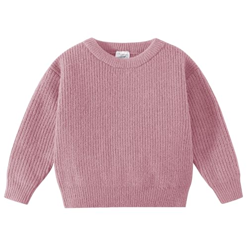 Jimonda Toddler Knit Sweater Round Neck Cute Long Sleeve Pullover Sweatshirt for Baby Girl Boy Oversize Fall Winter Clothes 0-5T（Purple 0-3M）