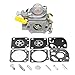 Produktbild HELEISH Vergaser + Rebuild Kit für Homelite Ryobi 25cc String Trimmer Carb 308054003 Motorradzubehör