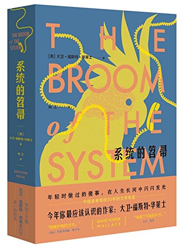 wallace broom of the system - The Broom of The System (Chinese Edition)