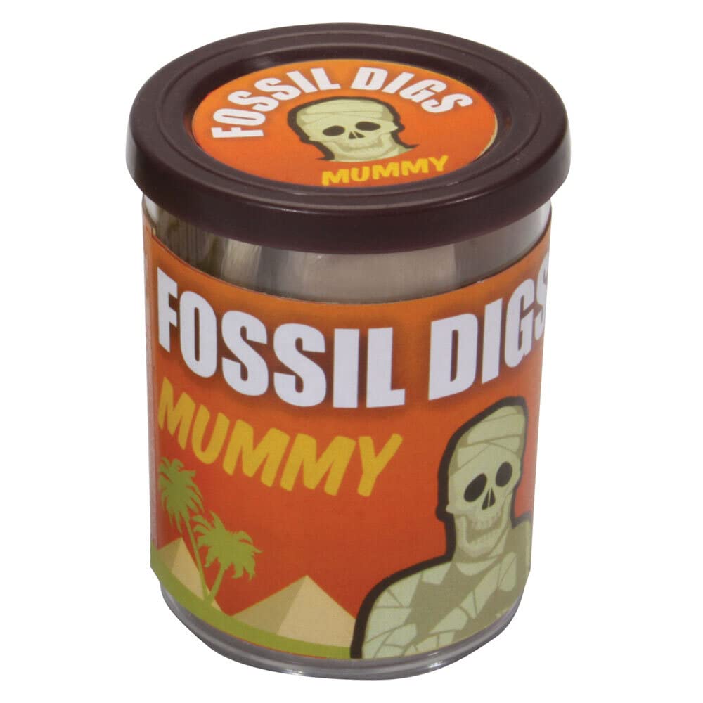 Assorted Fossil Dig in Tub, 6x4x2.5 cm - Image 2