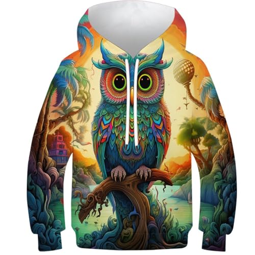 Sweat à capuche 3D ado La Chouette imprimé original pour toute la famille en hiver