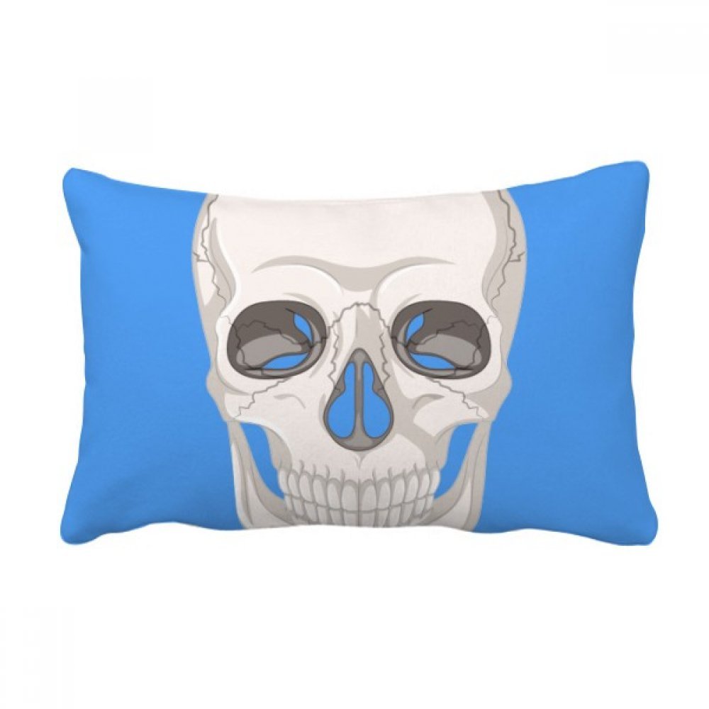 Coussin lombaire crâne d'os cadeau original 16x24 pouces, décoration de canapé multicolore