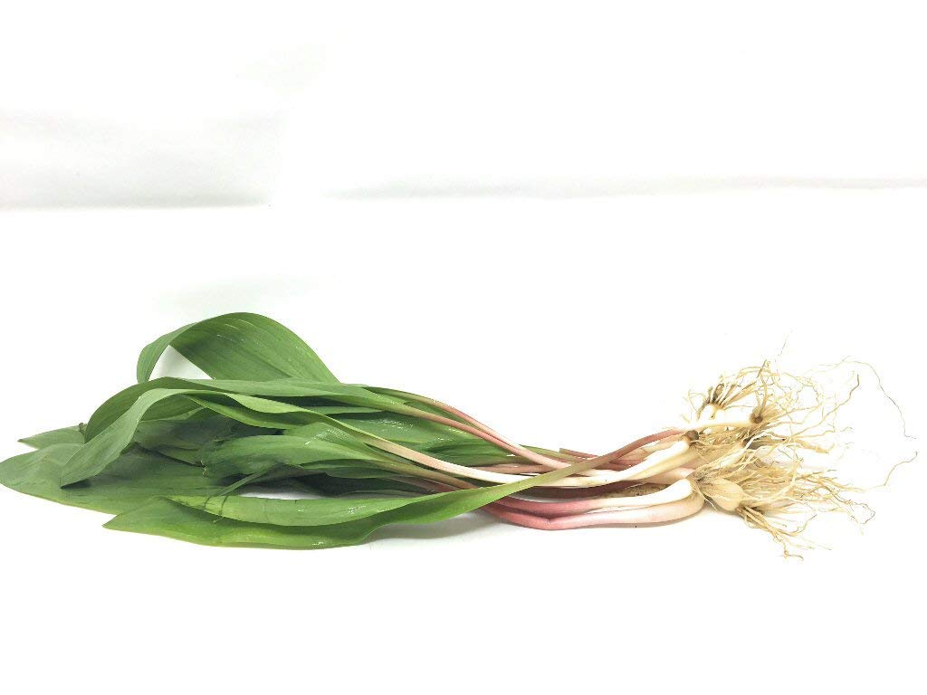 PRODUCE Baby Ramps Leeks Grocery & Gourmet Food