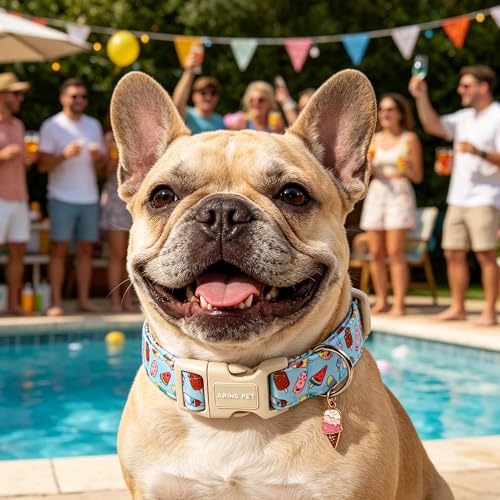 Image of ARING PET Summer Dog Collar, Cute Blue Ice Cream Doggy Collars for Puppy Small Medium Large Boy Girl Dogs Pet, for Daily Photos Outdoor Beach Walking Hiking Picnic, S