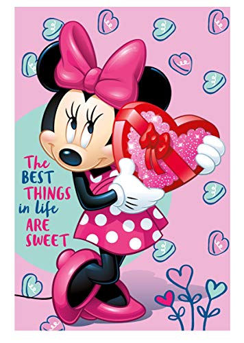 Disney Minnie Mouse – Manta Manta Manta Polar – Manta infantil (Forro Polar de microfibra de calidad microfibra suave suave cálido – 100 x 150 cm – MM01