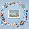 Coastal Cruise Ship Miniature Beach Themed Craft Wood Cutout Starfish, Sea Turtle, Sea Ring, Captain Wheel and Fish Small Wood Nautical Marine Cutouts for Craft DIY Project (36 Pieces) #1