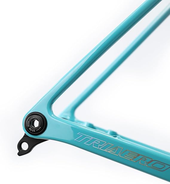 ICAN Flyee Carbon Disc Road Bike Frame Set UCI T47 BB and UHH Hanger