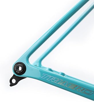 ICAN Flyee Carbon Disc Road Bike Frame Set UCI T47 BB and UHH Hanger