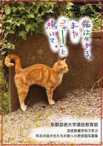 Amazon.co.jp: 京都芸術大学通信教育部芸術教養学科の30名: 本