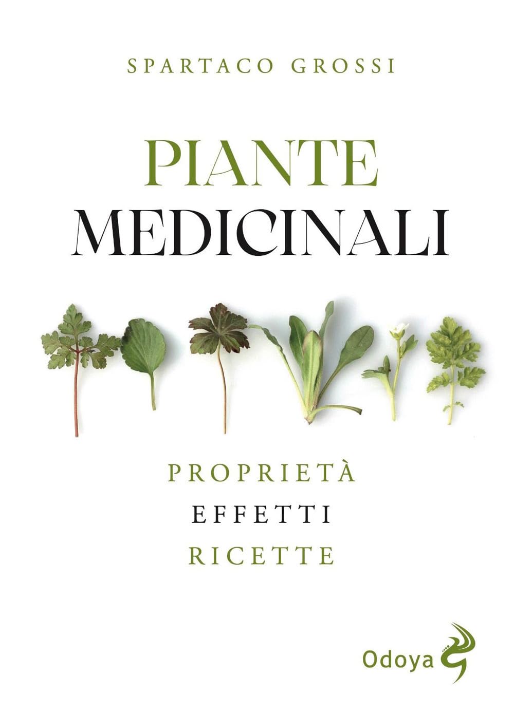 Piante Medicinali. Proprietà, Effetti, Ricette - 4