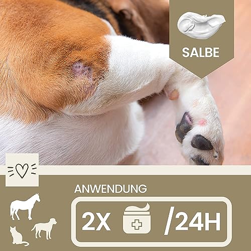 Zinksalbe Pferd Hund 0,25ml Wund Zink Salbe bei Wunder Haut mit Zinkoxid I Wund- Und Heilsalbe für Hunde Katzen Tiere I Wundsalbe | Wundheil Zink Creme zur Unterstützung der Heilung Wunden Juckreiz