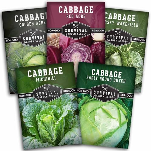 Cabbage Seeds Variety Pack - 5 Heirloom Non-GMO Varieties: Red Acre, Golden Acre, Jersey Wakefield, Early Round Dutch, Michihili Napa | Survival Garden Seeds