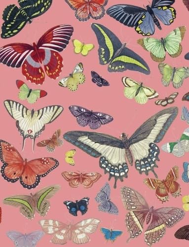 Petit carnet Papillons