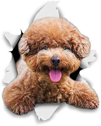 Winston & Bear 3D Dog Stickers, 2 Pack, Smiling Brown Poodle for Wall Fridge, Toilet and More