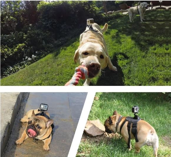 Arnés para perro para GoPro compatible con modelos 12 11 10 y cámara de bolsillo 8