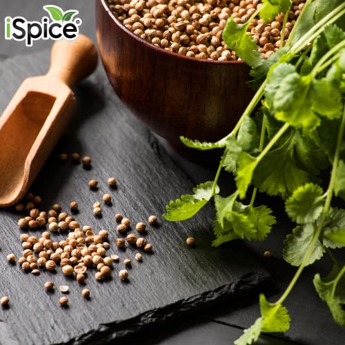 Ispice Premium Full-Flavored Cilantro Leaves (Coriander Leaves)| Pure And Fresh, Aromatic |Essential Kitchen Herbs |1.3 Oz (36G) #TOP4