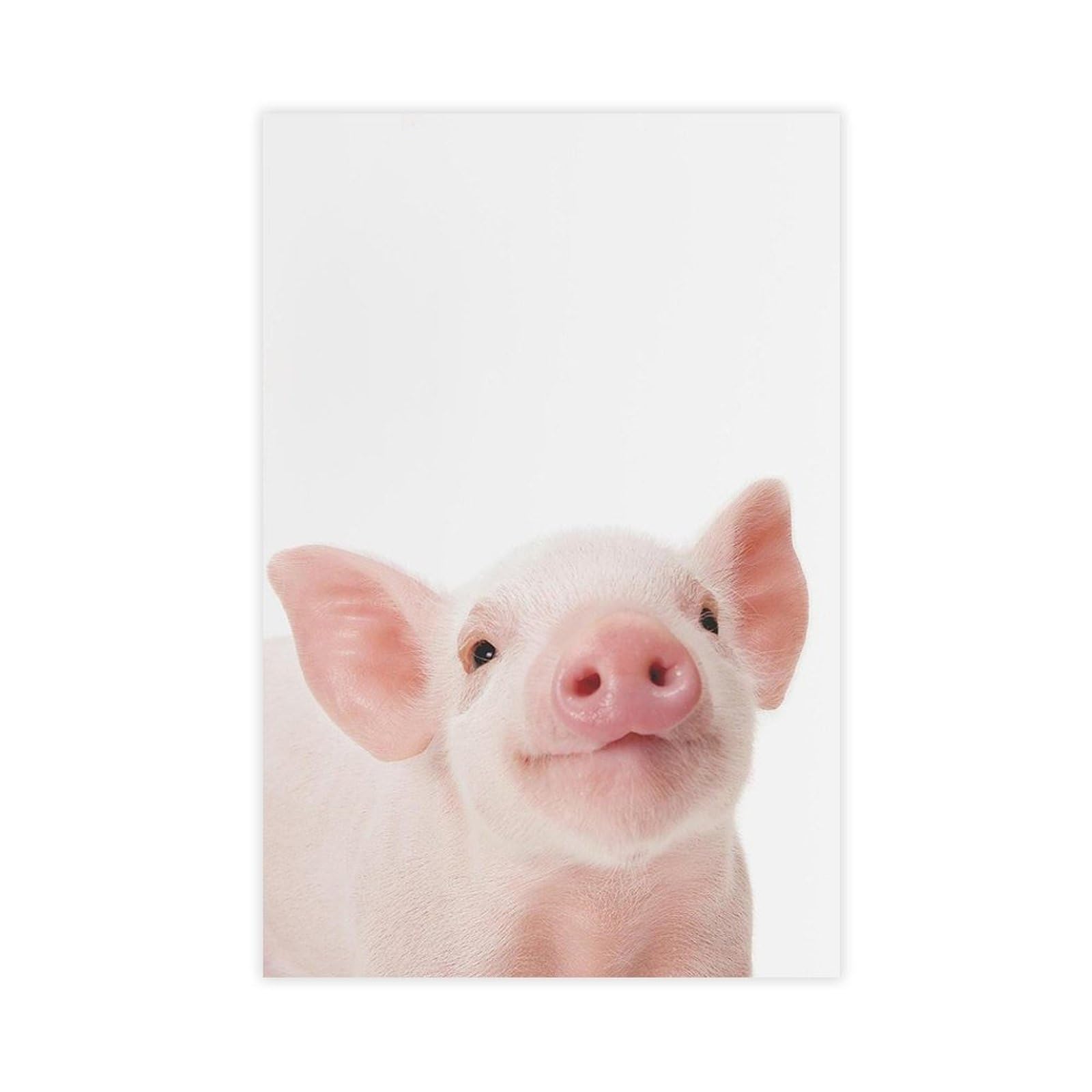Qnvjqkdsi Unframe Baby Piglet, Animal Art Canvas Poster Bedroom Decor Landscape Office Room Decor Gift 12" L X 18" W