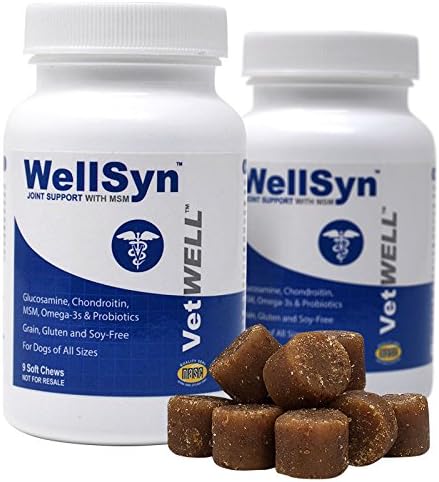 VetWELL Glucosamine Joint Supplements for Dogs - with Chondroitin, MSM, Omega 3s and Probiotics for Mobility, Healthy Skin, Shiny Coat,…