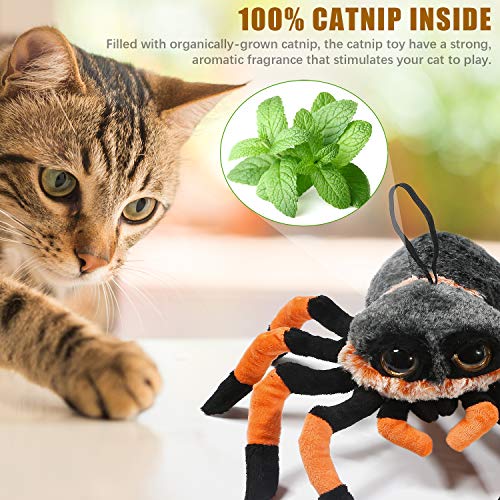 Senneny Halloween Spider Catnip Cat Toys Halloween Catnip Filled Cat