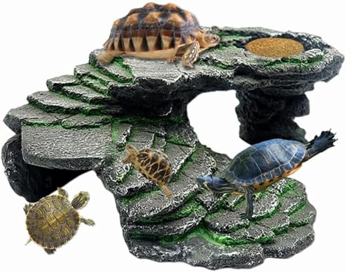 Foivozs ঒ VF^[ T̕ T   T  B  JVF^[ T VF^[ gJQ VF^[ ޗpi ঒ރVF^[ (24.5*17*10cm)