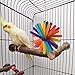 Wooden Chew Grind Teeth Popsicle Sticks Toy for Birds Parakeet Cockatiel Conure Parrot Lovebird Pet Cage Supplies