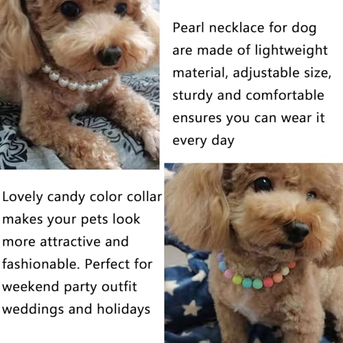 Image of Qiansail Dog Pearl Necklaces, Candy Color Necklace Adorable Pearl Collar Chihuahua York Clothing Dress Cute Fashion Pet Supplies for Puppy Kitten (White, L)