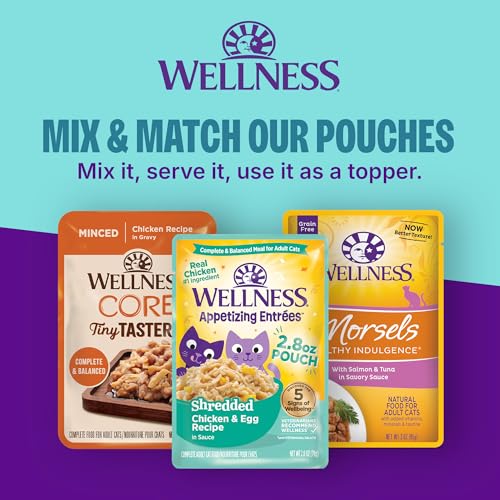 Wellness CORE Signature Selects Shredded Adult Canned Wet Cat Food, Natural, Protein Rich, Grain Free, Skipjack Tuna and Shrimp Entrée Recipe, 2.8 oz, Pack of 12 Cans - image 9