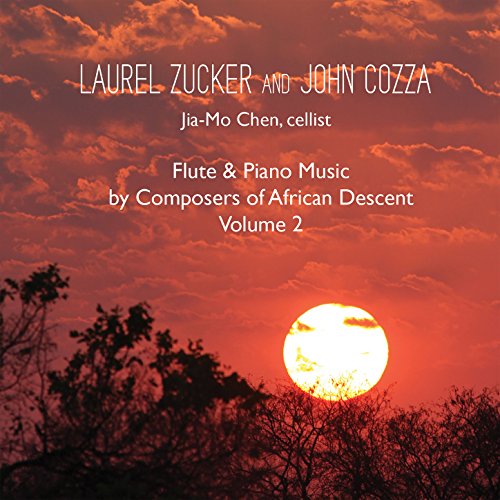 Afro American Suite for flute, cello and piano: Andante