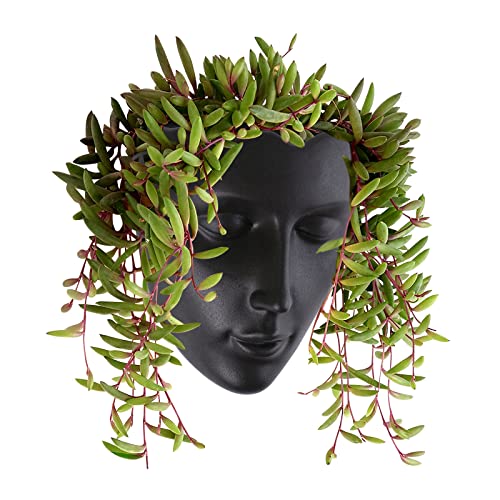 Notakia Face Planter Pot Wall Mounted (Black)