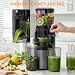 Extractor de Zumos y Verduras Prensado en Frío 400W Imagen de Extractor de Zumos y Verduras Prensado en Frío 400W