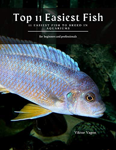 Top 11 Easiest Fish: 11 Easiest Fish to Breed in Aquariums (English Edition)