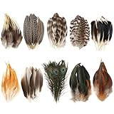 FAMCUCHE 92 Stück Bastelfedern-Dekorationen,Natürliche Federn zum Basteln, Pfauenfedern,Truthahnhut-Deko Federn für DIY-Projekte,Hüte,Masken und Karnevaldekorationen,10 Stile