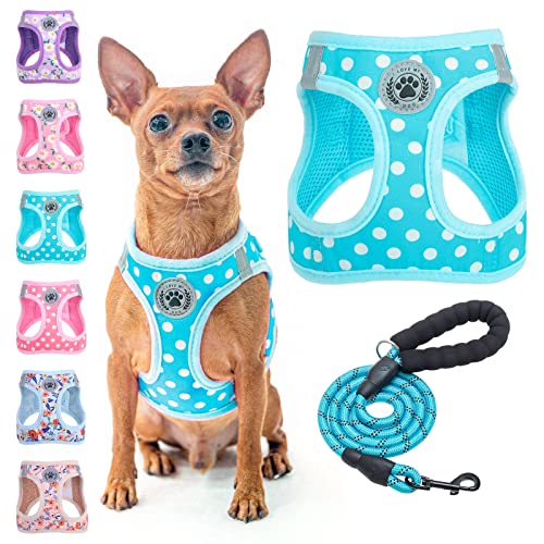 BEAUTYZOO Harnais Chien Pois + Laisse, XXS-S, Rembourré Mailles