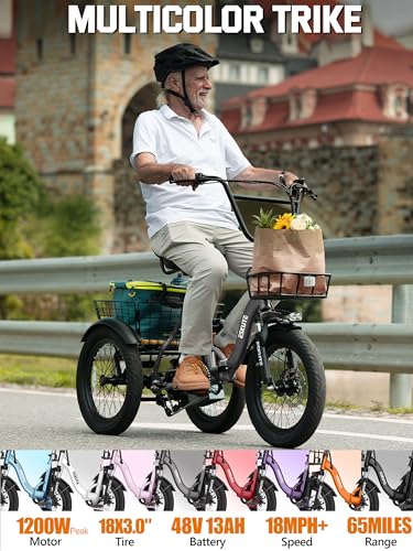 ESKUTE E Trike Electric Bike, Peak 1200W Brushless Motor