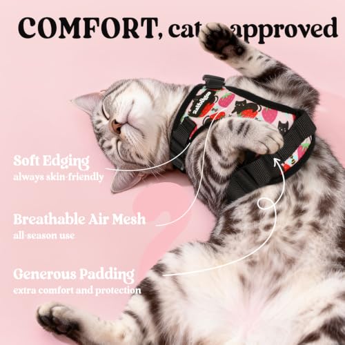Image of rabbitgoo Cat Harness and Leash Set, Escape Proof Vest, Berry Pounce | Soft Breathable Mesh, Easy Adjustable Fit, Snap Buckles, Sturdy Clip, Reflective Strips, for Kittens & Small Cats Walks, Xxs