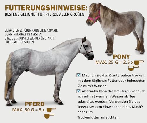 Foto von V-POINT REHE Plus bei akuten Hufrehe-Schüben zur Vorbeugung fördert Durchblutung der Huflederhaut - Hagebuttenpulver Mariendistel Spirulina (450 g)