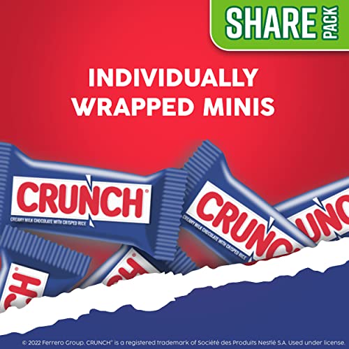 Crunch Milk Chocolate And Crisped Rice, Minis Individually Wrapped Candy Bars, 9.8 Oz, Resealable Share Size, 8 Pack #TOP1