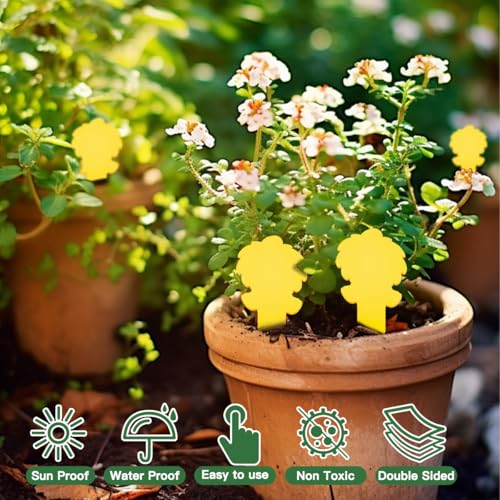Image of 58 Pack Yellow Sticky Gnat Traps for Plants - Fungus Gnat Killer, Fruit Fly Traps for Indoors, Gnat Sticky Traps for Plants, Family Friendly Design, Ice Cream Shape