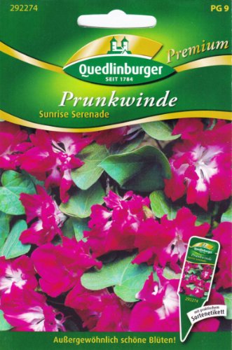 Preisvergleich Produktbild Prunkwinde, Sunrise Serenade