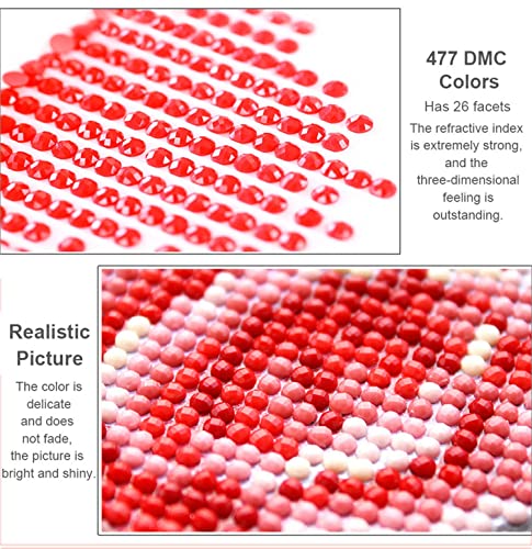 Peinture diamant 5D strass ronds : kit complet 5 pièces broderie grand format multicolore