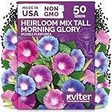 KVITER 50 Tall Morning Glory Seeds Mix (Ipomoea purpurea) – Climbing Morning Glory on The Vine, Annual Flower Seeds for Planting – Heirloom Seed Packets for Home Garden, Fences, Containers Outdoors