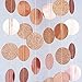 Chloe Elizabeth Circle Dots Paper Party Garland Streamer Backdrop (10 Feet Long) - Rose Gold Glitter