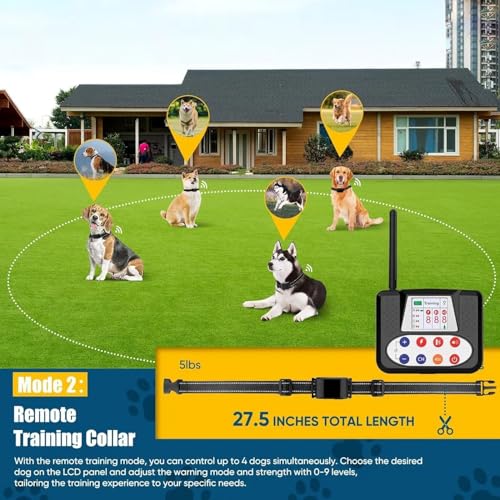 Dog wearing SXDDHZX Wireless Dog Fence collar