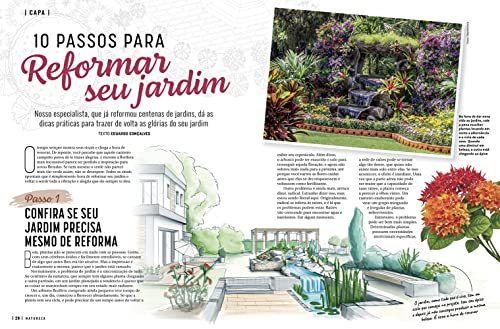 Revista Natureza 412