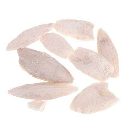 BYFRI 1 Bolsa de Sepia Huesos para Las Aves Tortugas Caracoles Loros Tortugas Reptiles