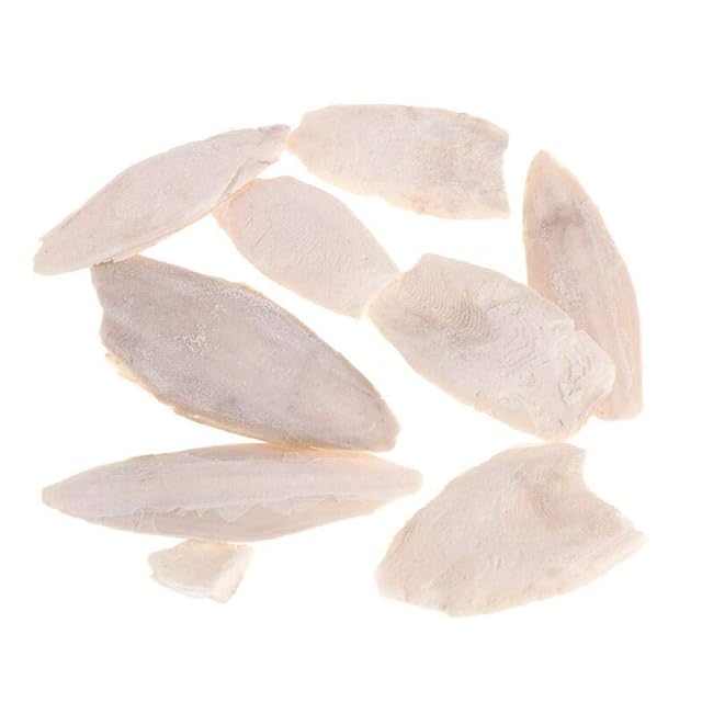 BYFRI 1 Bolsa de Sepia Huesos para Las Aves Tortugas Caracoles Loros Tortugas Reptiles