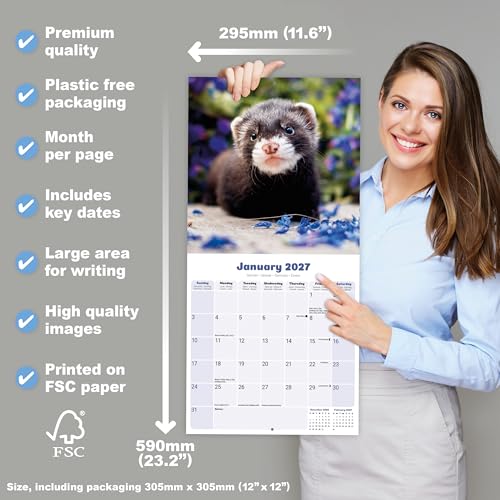 Ferrets 2027 Calendar | Square Wall Calendar | Animal Gift | Plastic Free Packaging | by Avonside Publishing – vue 6