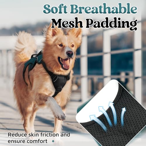 rabbitgoo Escape Proof Dog Harness Medium, Soft Padded Full Body Pet Harness, Reflective Adjustable No Pull Vest with Lift Handle and Leash Clip for Walking Hiking Training, Dark Green, M by rabbitgoo - Image 8