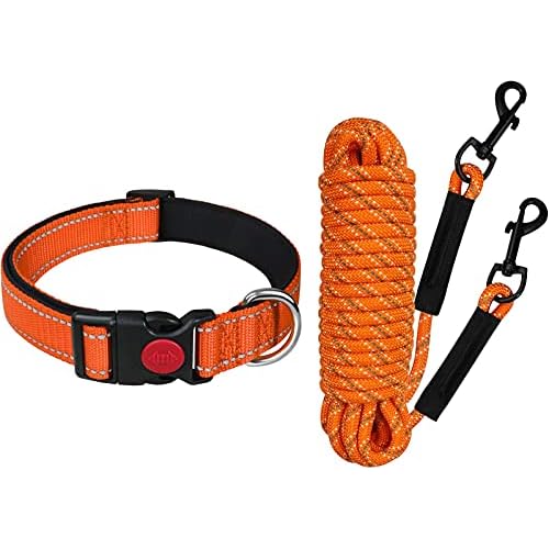 Taglory 16”-24” Dog Collar Bundle with 66FT Tie Out Rope Leash, Reflective Padded Dog Collar with Nylon Dog Leash for Dogs, Orange